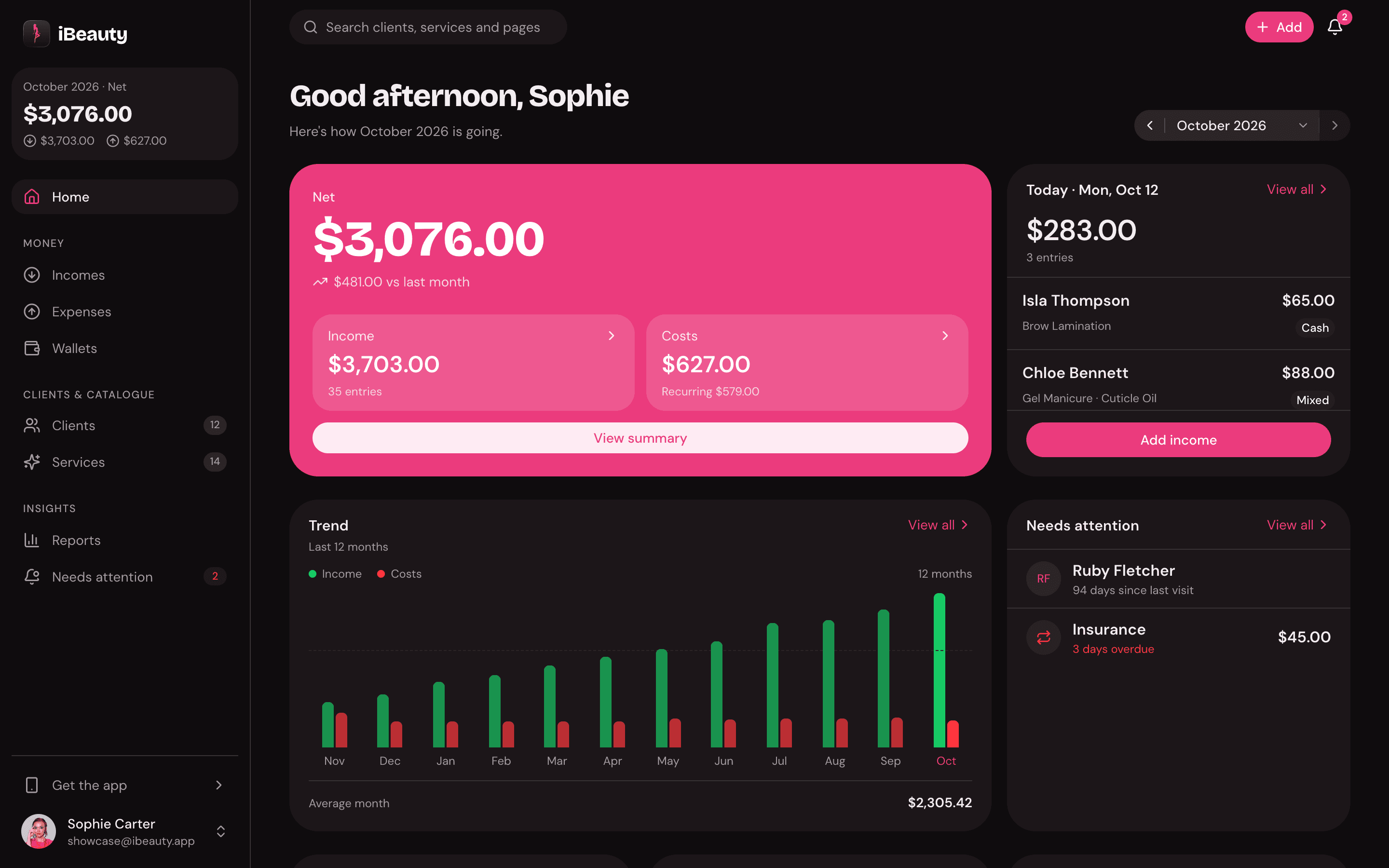 The iBeauty web app's Home: the month's net, today's visits, the year's trend and what needs attention