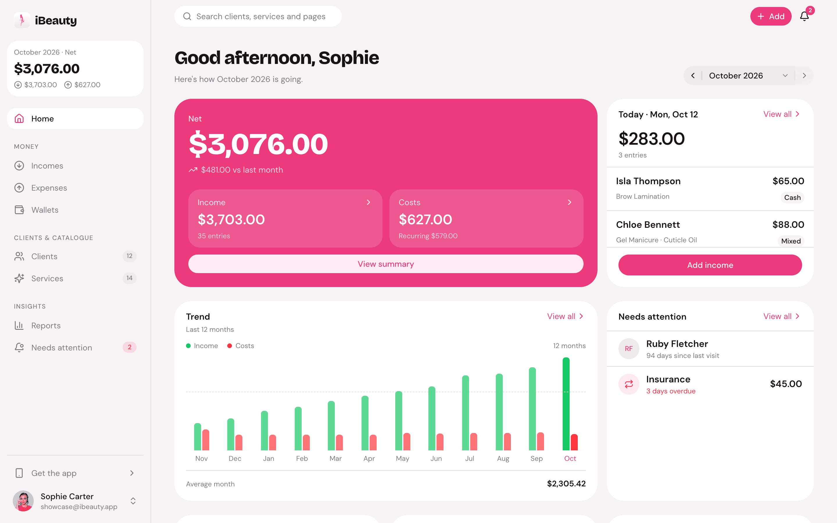 The iBeauty web app's Home: the month's net, today's visits, the year's trend and what needs attention